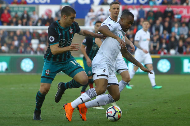 他进行了战 他进行了战