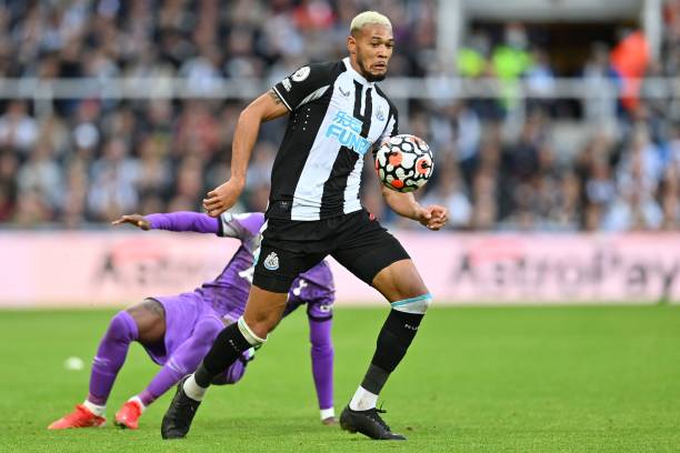 横滨FC成 横滨FC成